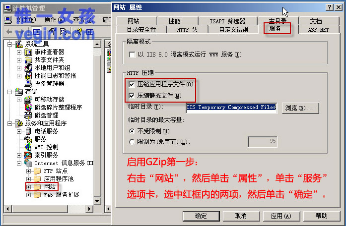 IIS+FastCGI+PHP5.3+MySQL5.1+Gzipϸγ