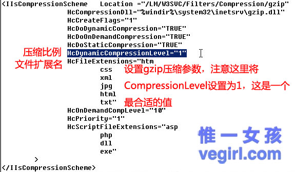 IIS+FastCGI+PHP5.3+MySQL5.1+Gzipϸγ