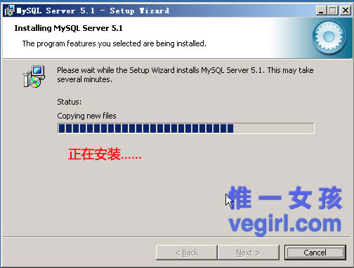 IIS+FastCGI+PHP5.3+MySQL5.1+Gzipϸγ