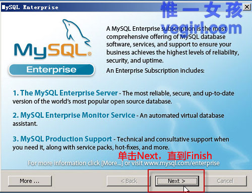 IIS+FastCGI+PHP5.3+MySQL5.1+Gzipϸγ