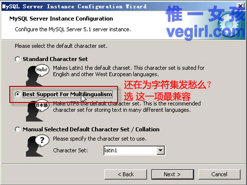 IIS+FastCGI+PHP5.3+MySQL5.1+Gzipϸγ