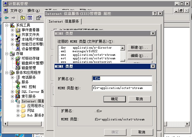 Win2003ϵͳIIS޷flvʽļ