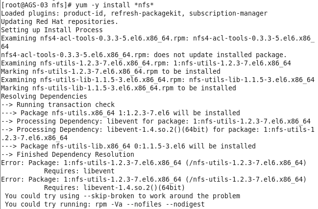 RedHat Enterprise Linux 6.1RHELｨArcGIS 10.1 for ServerȺNFS