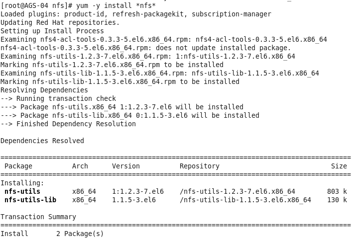 RedHat Enterprise Linux 6.1RHELｨArcGIS 10.1 for ServerȺNFS