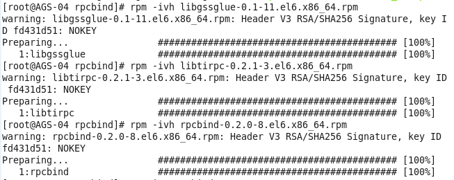 RedHat Enterprise Linux 6.1RHELｨArcGIS 10.1 for ServerȺNFS