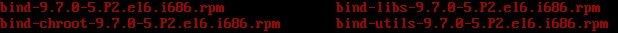 ˣRHEL6.0   BIND İװ