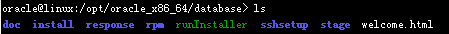 LinuxϰװOracle11g