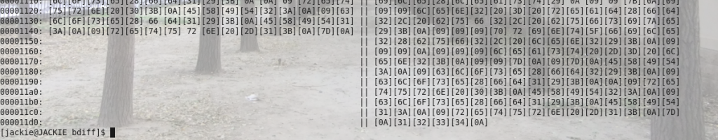 linux停二进制文件比较程序
