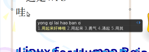 WPS for Linux�����������