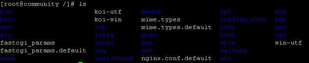 linux��ls����ɫ̫���ô����