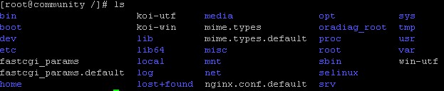 linux��ls����ɫ̫���ô����