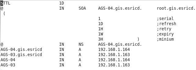 RedHat Enterprise Linux 6.1(RHEL)筹建ArcGIS 10.1 for Server集群(一)DNS服务器架设