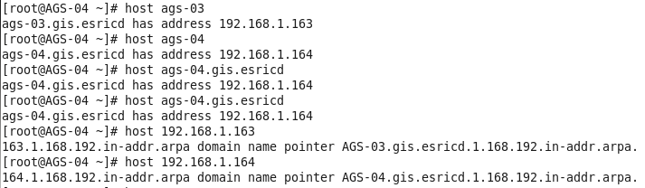 RedHat Enterprise Linux 6.1(RHEL)筹建ArcGIS 10.1 for Server集群(一)DNS服务器架设