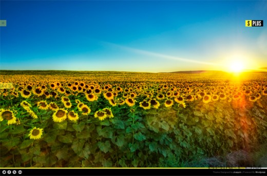 wordpress: Splus, EMagazineBAGONG