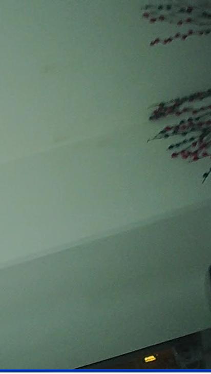 TI DM368 YUV420֮NV12תIYUVܽ