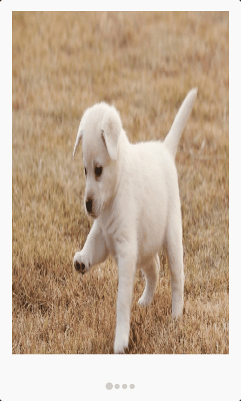 Android��ViewPager�ļ���ʹ�ã��ײ�Բ�㣩