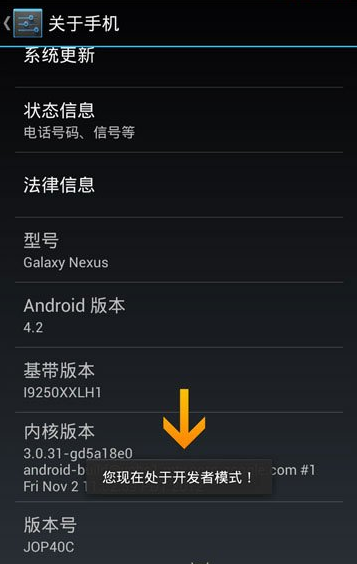 Android4.2 开发者选项在哪儿 Developer options