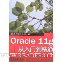 Oracle 11g从入门到精通
