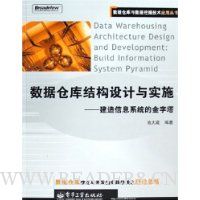 数据仓库结构设计与实施:建造信息系统的金字塔