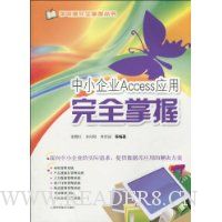  ��С��ҵAccess Ӧ����ȫ����