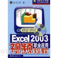  Excel 2003ְҵӦ����Ƶ�̳�(����)