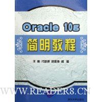  Oracle10g̳