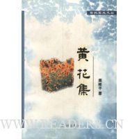  �����ǹ��Ĵԣ��ƻ���