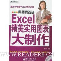 Excel精美实用图表大制作(附光盘1片)