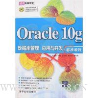 Oracle 10g数据库管理 应用与开发标准教程(附盘)