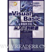  Visual Basicݿ⿪ŵͨ()