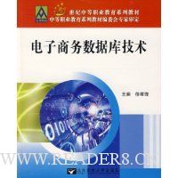 电子商务数据库技术