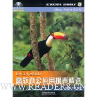  Excel 2007��Ч�칫Ӧ�ñ�����ѡ(��DVD����1��)