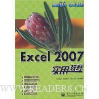  Excel 2007ʵ�ý̳�