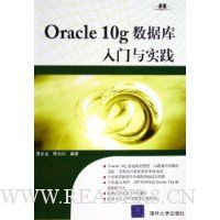 Oracle10g数据库入门与实践