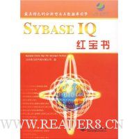SYBASE IQ 红宝书