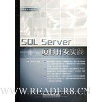 SQL Server项目开实践