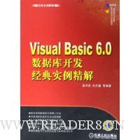 Visual Basic6.0数据库开发经典实例精解(附光盘)