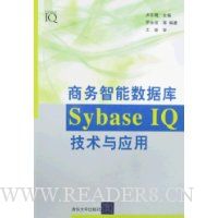 商务智能数据库SybaseIQ技术与应用