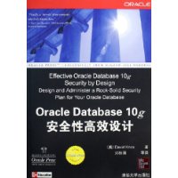  Oracle Database10gȫԸЧ