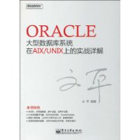 Oracle大型数据库系统在AIX/UNIX上的实战详解