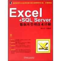 Excel+SQL Server数据库管理技术详解(附CD光盘1张)