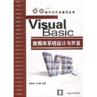 Visual Basic数据库系统设计与开发/软件设计与开发指导丛书