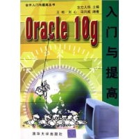  Oracle10g