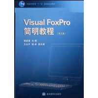 Visual FoxPro简明教程