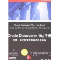 Oracle Discoverer 10g手册