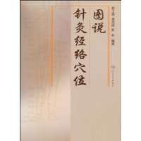  ͼ˵��ľ���Ѩλ