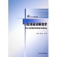 口腔颌面部解剖学