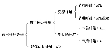 񾭵ʵķֲ