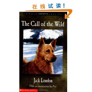 The Call of the Wild [ƽװ]