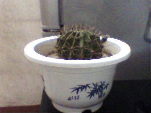 ����ġ��̴�������